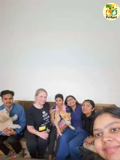 The whole PetSpot family saying goodbye to Bo Peep. This group selfie captures the love and personal connection our team builds with each pet and their parents.