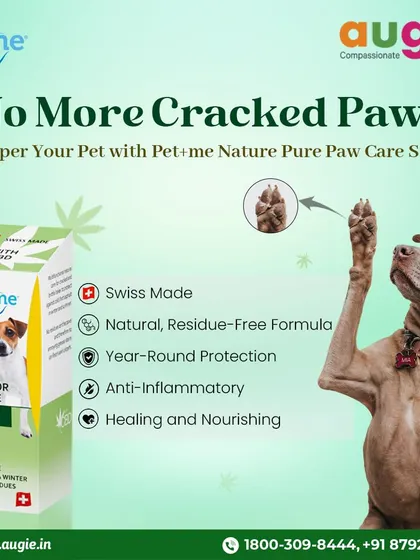 No more cracked paws. This Pet+Me Nature Pure Paw Care Spray is a Swiss-made, natural, and residue-free formula that provides year-round protection. It's anti-inflammatory, healing, and nourishing.