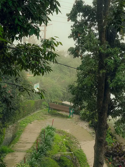 A quiet, winding path with an empty bench on a misty day in Mussoorie. It's an invitation to sit and soak in the peaceful atmosphere.