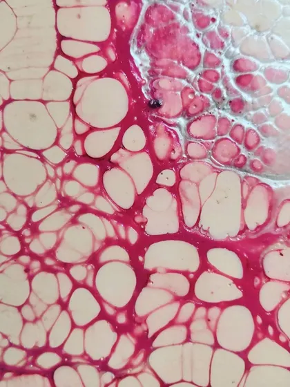 A duplicate of the cell close-up, perfect for appreciating the intricate details of fluid art.