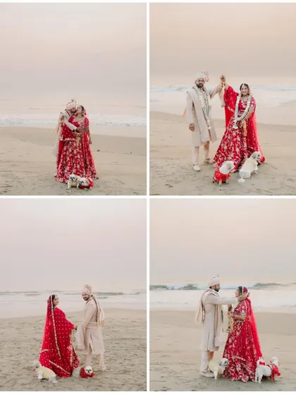 A collage of a couple's beach wedding ceremony with their pets, capturing the exchange of garlands and their loving interactions by the sea.