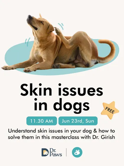 Skin issues are one of the most common problems we see. This free masterclass with veterinarian Dr. Girish is designed to help you understand the causes of skin problems and learn effective strategies to solve them.