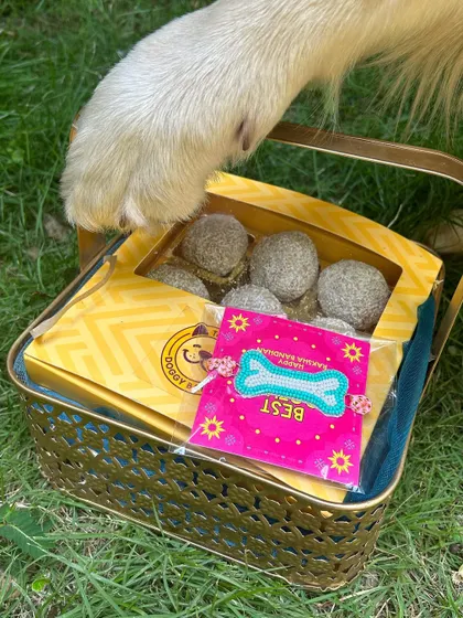 A paw of approval for our Rakhi hamper. This gift basket is a wonderful way to include your dog in the family's festive traditions.