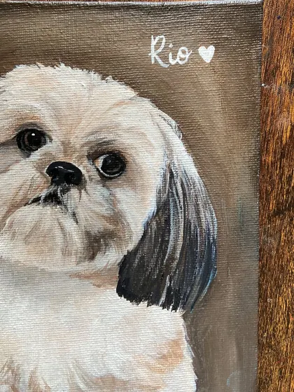 A close-up of a commissioned portrait of Rio, a sweet Shih Tzu. I focus on the eyes and fur texture to make the portrait feel lifelike and full of personality.