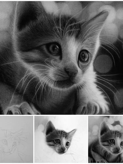 A step-by-step look at how I drew this kitten portrait, from the initial outline to the fully shaded and detailed final piece.