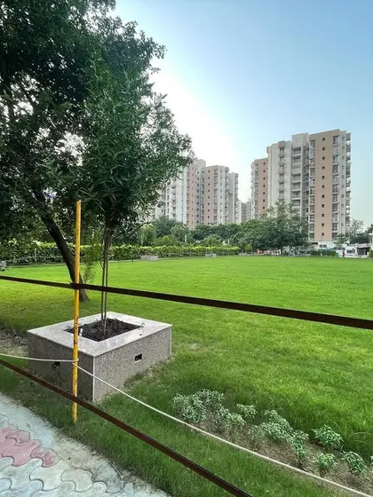 Another angle of the expansive community lawn, showing the scale of the green space against the backdrop of the residential towers. My focus is on creating healthy, sustainable lawns that become the heart of the community.