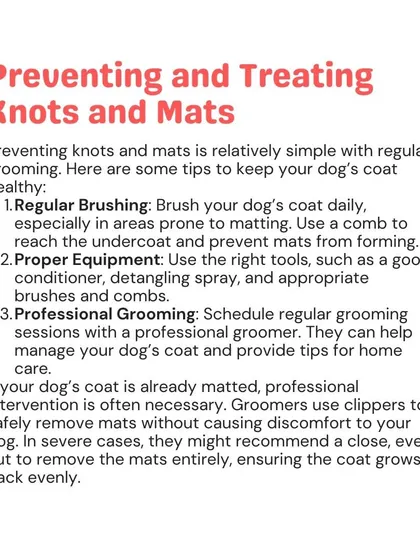 Here are three simple tips to prevent knots and mats: regular brushing, using the right equipment, and scheduling professional grooming sessions with me.