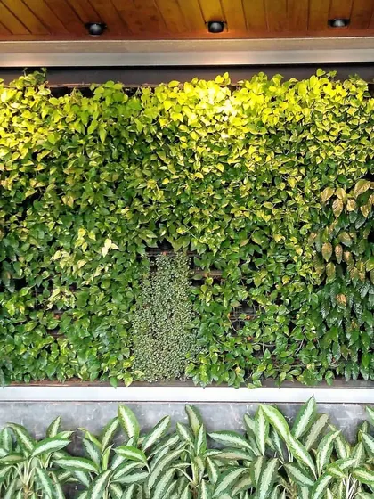 A closer look at our installation at the luxurious Signature Island in Bandra Kurla Complex. The carefully selected plants create a rich tapestry of green, enhancing the sophisticated ambiance of the building's interior.