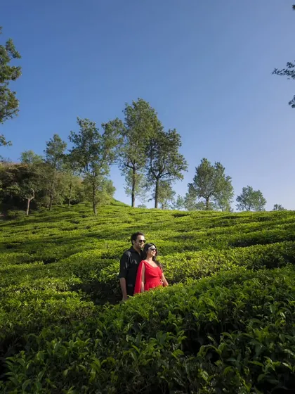 A stunning wide shot of a couple in a vibrant green tea plantation. This kind of location provides a unique and picturesque backdrop for a memorable pre-wedding shoot.