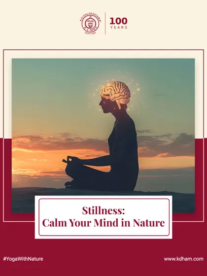 Stillness in nature has a profound effect on the mind. Our practices are designed to help you access this quiet state, allowing for deep relaxation and mental rejuvenation.