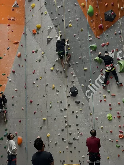 A wide shot of the gym shows multiple climbers on the walls, each on their own journey but part of the same vibrant community.
