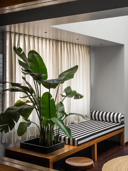 A comfortable daybed in the master lounge provides a perfect spot for reading or enjoying the natural light from the skylight above. The large indoor plant enhances the connection to nature.