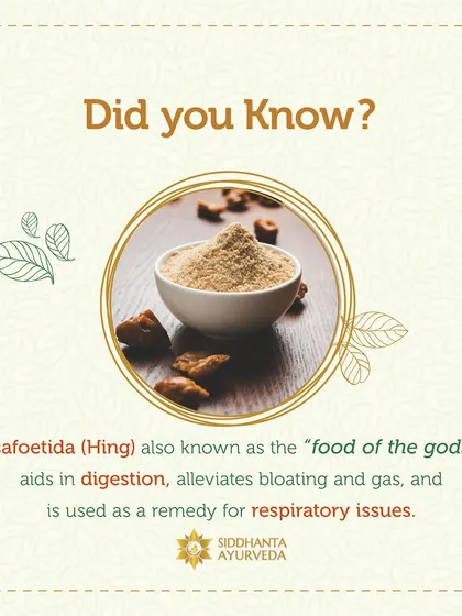 Asafoetida, or Hing, is known in Ayurveda as the "food of the gods." It is a potent remedy that aids digestion, alleviates bloating and gas, and is also used for certain respiratory conditions.