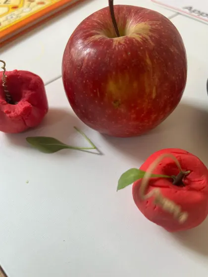 Comparing our playdough creations to a real apple. This helps children make connections between play and the real world, and we even used a real leaf and twig to complete our models.