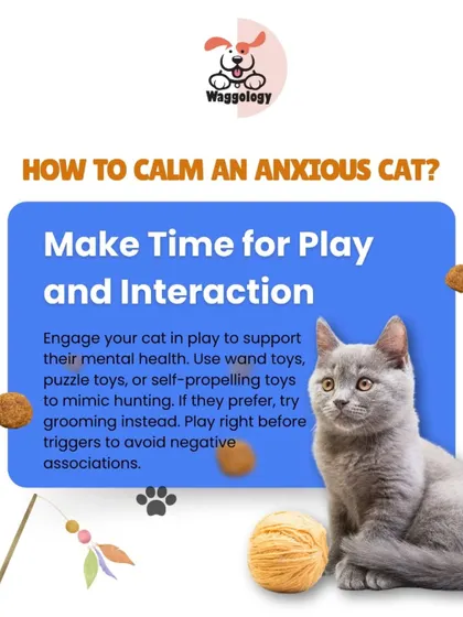 These additional tips focus on creating a secure and enriching environment for your pets, reinforcing the idea that kindness, patience, and understanding are the most effective tools for pet care.