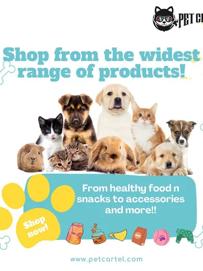 Our virtual shelves are stocked with the widest range of products. From healthy food and snacks to accessories and more, you can find everything you need for dogs, cats, rabbits, and other small pets.