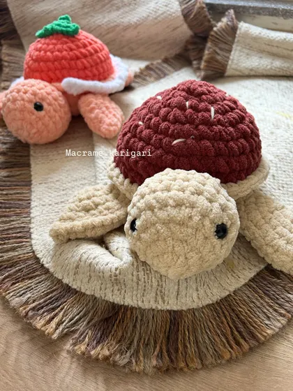 Here are two of our fruit-inspired turtles, one with a tomato-like shell and another with a rich, textured brown shell. We love experimenting with different colors and designs.