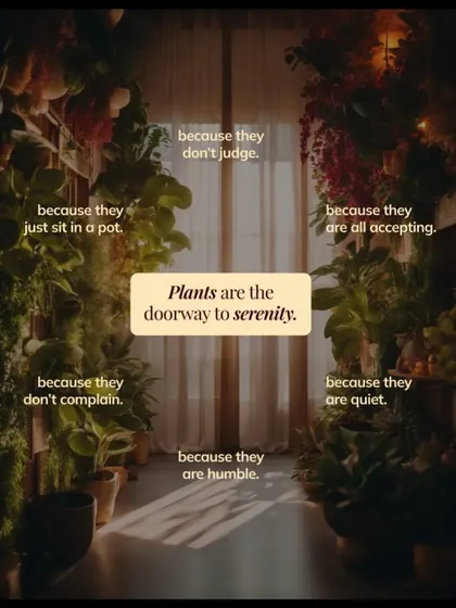 Plants offer a quiet, non-judgmental presence that I believe is a doorway to serenity. They purify our air, calm our minds, and teach us about growth and resilience, connecting us to something deeper.