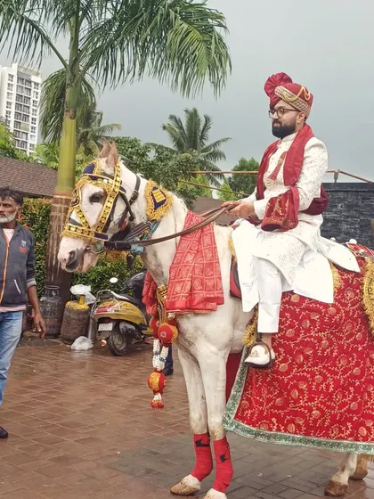 Another shot of the groom's royal entry on a decorated horse, a classic tradition we help facilitate.