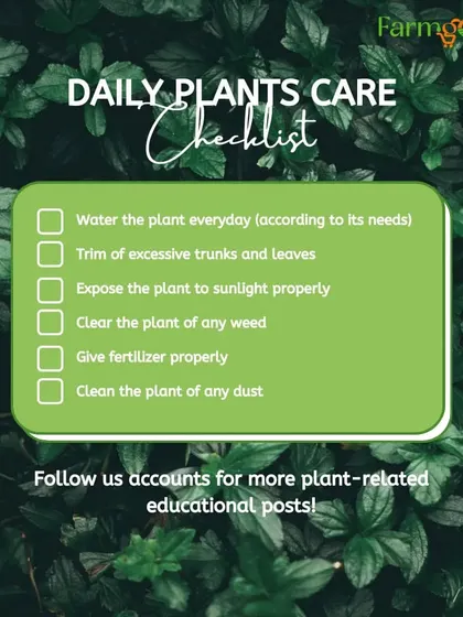 Here is a simple daily plant care checklist to keep your garden healthy. It covers watering, trimming, sunlight, weeding, fertilizing, and cleaning.