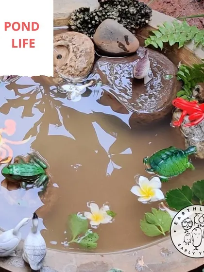 We create small worlds for big imaginations. This homemade pond becomes a stage for endless stories, as children engage in pretend play with animal figurines, learning about different habitats and ecosystems.