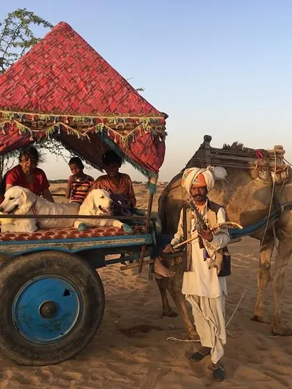 Throwback to our first major road trip. My mom and I traveled with the dogs by train and car, creating unforgettable memories like this camel cart ride in Pushkar.