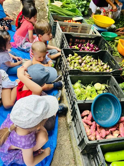 Children get a close look at crates of fresh vegetables, learning to identify them by name, color, and shape.