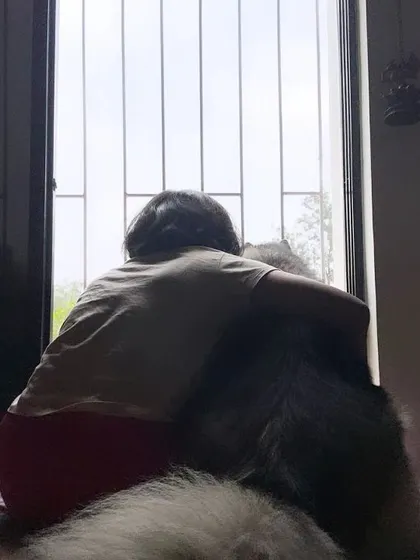 These images further illustrate the quiet, meaningful connections I build. Whether it's a hug, a shared gaze, or simply sitting together, every action is aimed at making your pet feel secure and cherished.