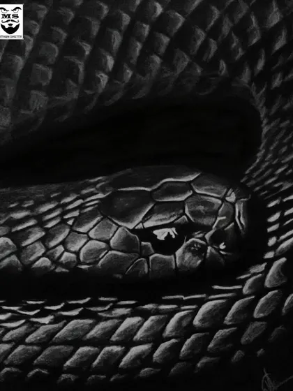 A black cobra sketch on black paper, using white and grey pencils to create the highlights. The challenge was to define the shape and texture of the scales using only light on a dark surface.