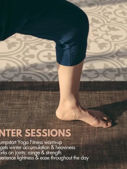 This graphic explains the focus of my winter online sessions. We use a jumpstart yoga fitness warm-up to target winter accumulation and work on joint range and strength.