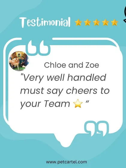 "Very well handled must say cheers to your Team." We're proud of our team's ability to handle every pet with skill and patience, as this review for Chloe and Zoe shows.