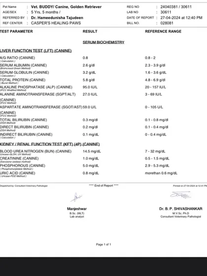 A copy of Buddy's blood test results. We are transparent with all medical documents so our supporters know exactly what their donations are funding.