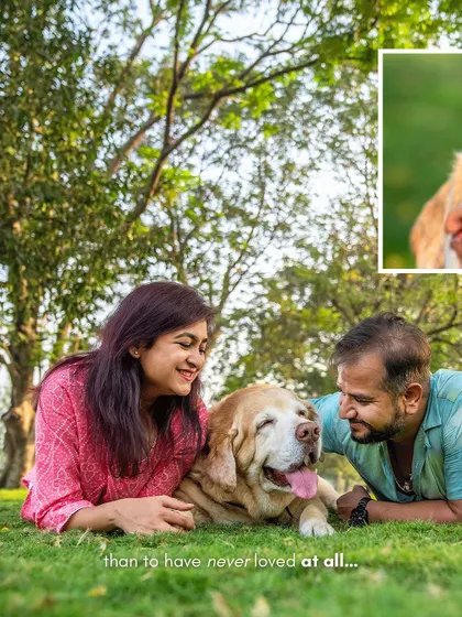 A collage from Kumo's senior shoot, with the poignant text, "'Tis better to have loved & lost than to have never loved at all."