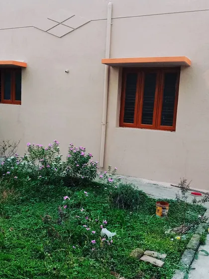 A fresh coat of paint on the exterior of your house not only looks great but also protects it. This project shows a clean and simple finish that gives the home a neat and well-maintained appearance.