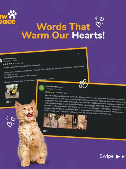 These reviews from our community truly warm our hearts. Reading about how we helped a 5-year-old dog feel comfortable or provided a great 40-day boarding experience is why we do what we do.