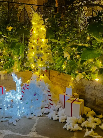 A clear photo of the outdoor Christmas setup, perfect for homes or event venues.