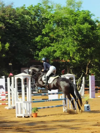 A rider and her black horse clear a white oxer at the Auroville Horse Show, showcasing the variety of challenges in a show jumping course.