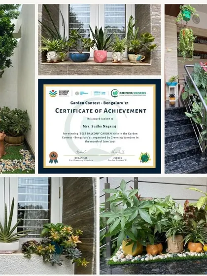 This collage showcases the winner of the 'Best Balcony Garden' category. The space creatively uses a mix of floor planters, window box arrangements, and hanging plants to create a dense and beautiful garden in a compact area.