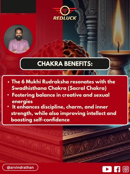 The 6 Mukhi Rudraksha resonates with the Swadhisthana (Sacral) Chakra. It fosters balance in creative and sexual energies, enhances discipline, and boosts self-confidence and inner strength.