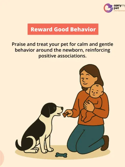 Reward good behavior with praise and treats when your pet is calm and gentle around the newborn. This reinforces positive associations and helps build a loving bond.