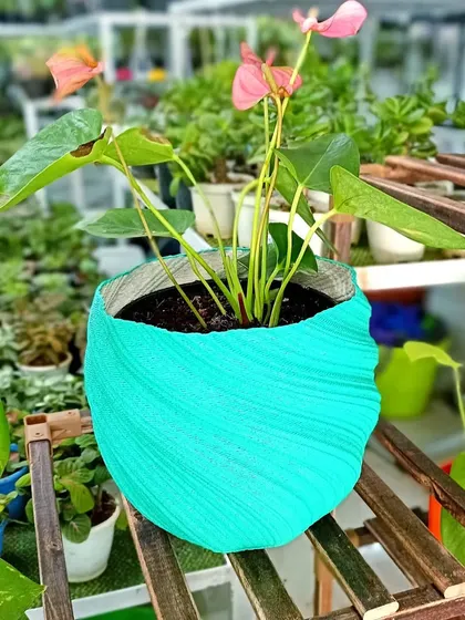 Our textured turquoise planter holds pink flowers and leafy stems, shown on a wooden display among other potted plants.