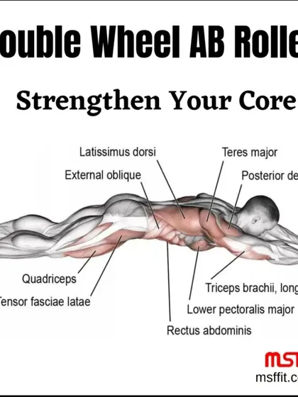 A diagram showing the full range of muscles worked during an ab rollout.