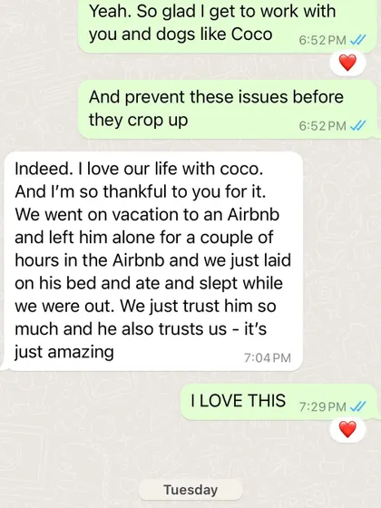 I love this so much. This testimonial from my online client in Germany shows that with the right guidance, you can build a life of trust and freedom with your dog, no matter where you are in the world.