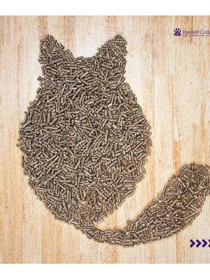 A creative shot of our EcoCat wood pellets arranged in the shape of a cat. This image visually represents the product's core identity as a natural, cat-focused solution.