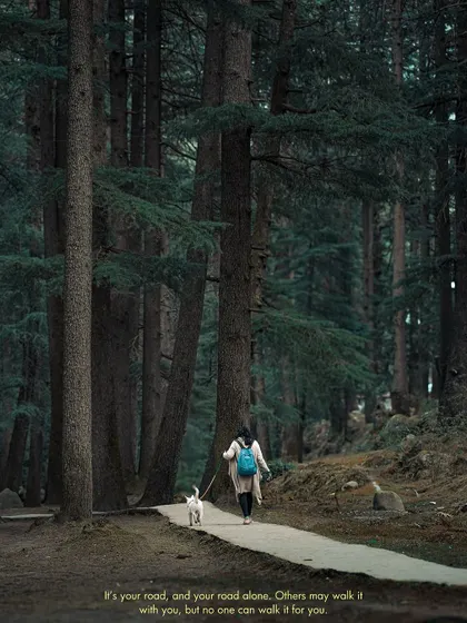 A moody shot of a solitary walk through a dense forest in Manali. The quote adds a reflective layer, which is a signature part of my storytelling style.