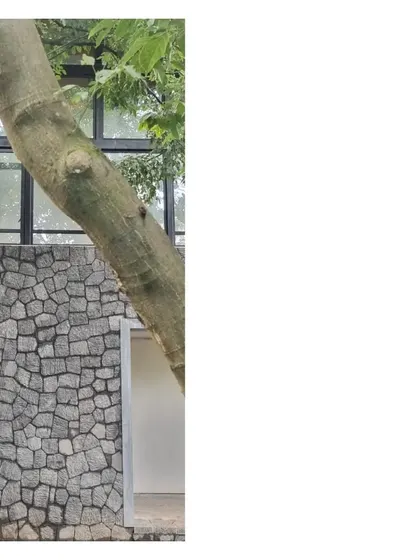 A tree trunk leans against the stone and glass facade of the House in a Grove. The design is an ode to the grove, a hidden gem that reveals itself only when you are within its embrace.