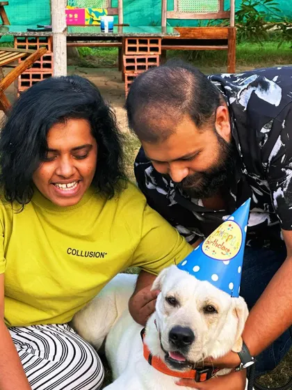 Guests celebrating their dog Cooper's third birthday. The owner is happily placing a birthday hat on the patient Labrador.