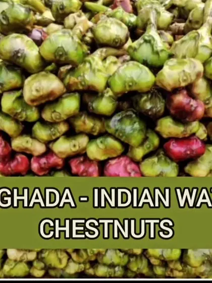 Singhada, or Indian Water Chestnuts, are a low calorie, high fiber food. They are great for digestion and weight management. They are also a good source of potassium and vitamin B6, supporting heart and brain health.