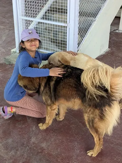A young supporter gets a double hug from two of our larger residents. We are so grateful for the love and support from our youngest visitors.