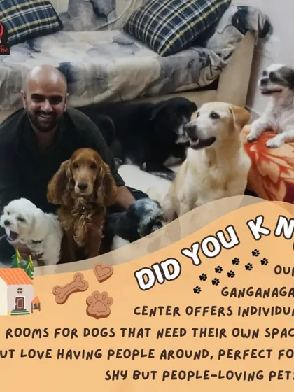Our Ganganagar center is perfect for shy but people-loving pets. It offers individual rooms where dogs can have their own space while still enjoying plenty of interaction with our caring staff.